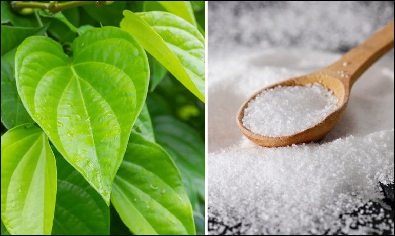 Rửa vùng kín bằng lá trầu không có cần rửa lại không?