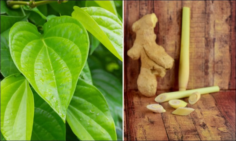 Rửa vùng kín bằng lá trầu không có cần rửa lại không?