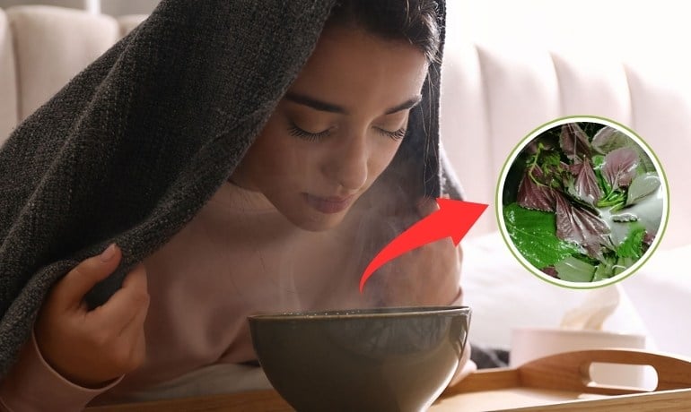10 cách đắp mặt nạ bằng lá tía tô làm mờ nám tại nhà