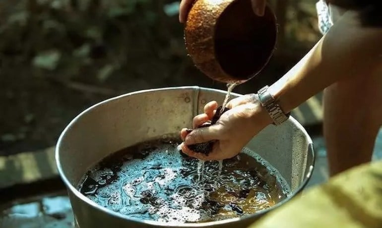Cách gội đầu bằng bồ kết đúng cách không bị khô và bết tóc