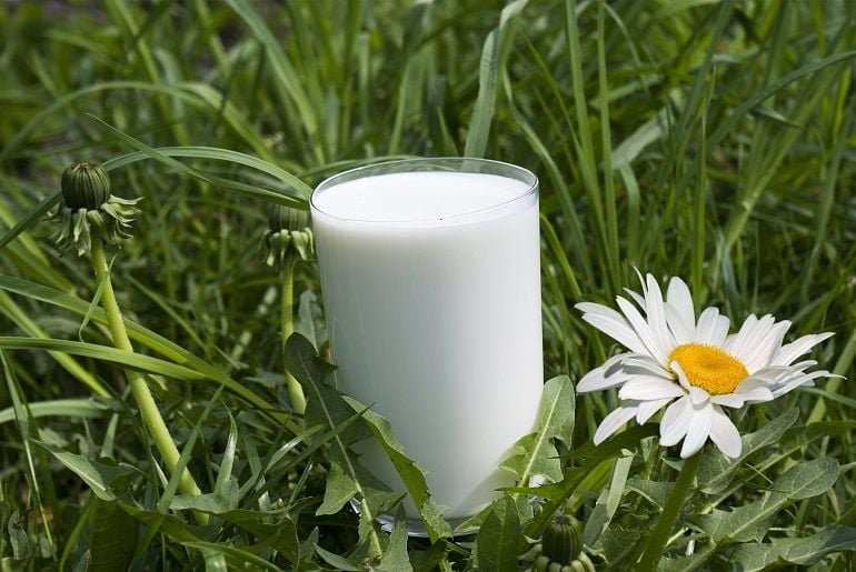15 cách tẩy tế bào chết tại nhà với công thức thiên nhiên