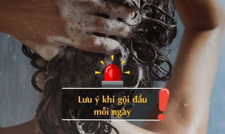 Có nên gội đầu mỗi ngày không? Gội đầu nhiều có hại cho tóc không?
