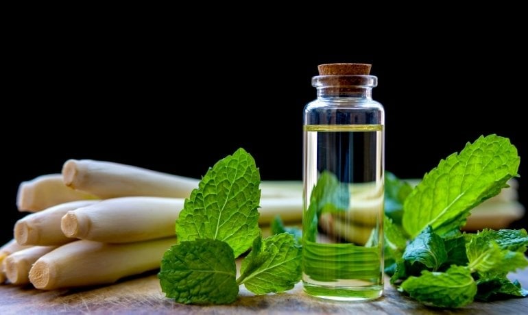 Diethyltoluamide (DEET) là gì, có độc không?