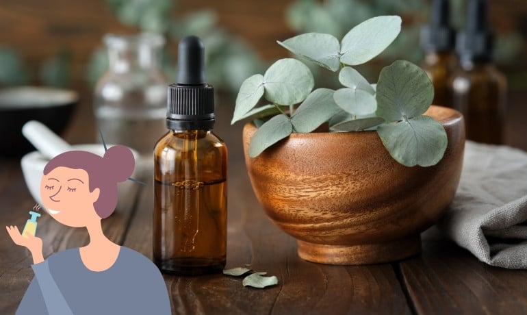 PMD là gì trong sản phẩm đuổi muỗi, có an toàn không?