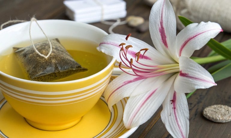 Uống gì để hết viêm phụ khoa, hết nấm Candida tại nhà?