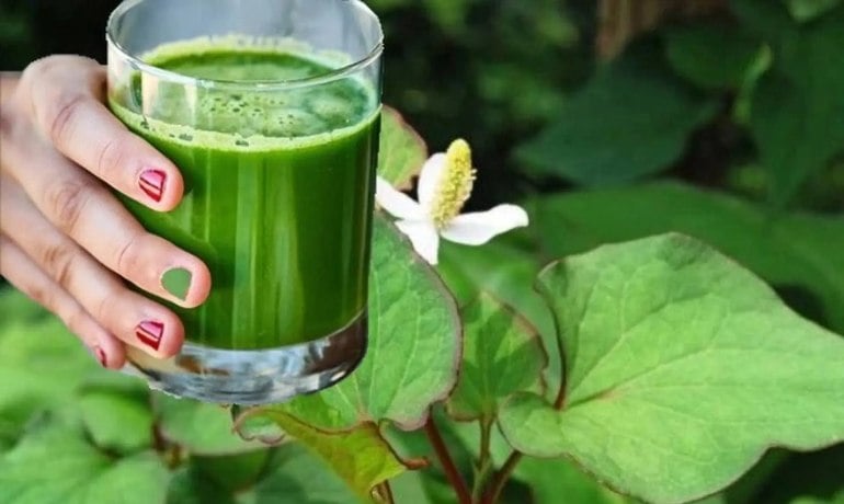 Uống gì để hết viêm phụ khoa, hết nấm Candida tại nhà?