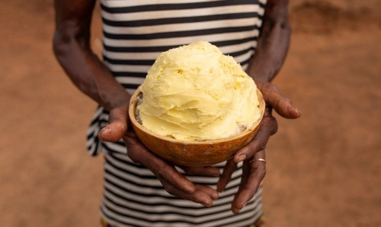 Shea Butter (bơ hạt mỡ) là gì? Có an toàn cho da không?