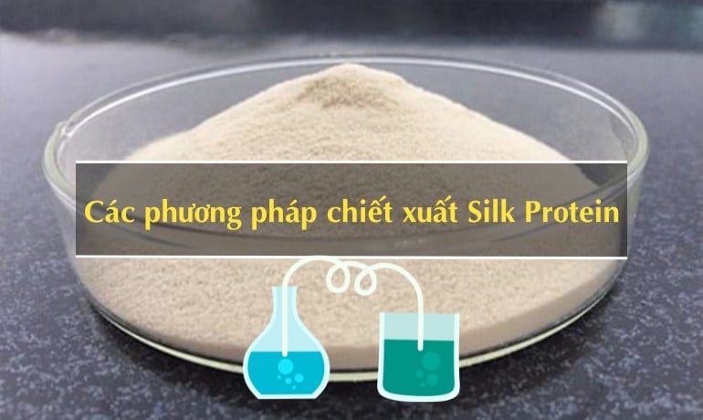 Silk Protein là thành phần gì, có tốt cho tóc không?