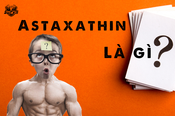 Astaxanthin là gì ? Có lợi gì cho dân tập thể hình Gym