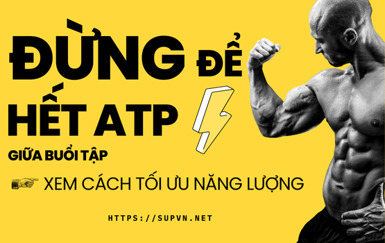 Tối Ưu ATP Khi Tập Luyện Bí Quyết Tăng Hiệu Suất Và Phục Hồi Cơ Bắp
