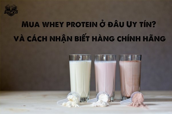 Mua whey protein ở đâu uy tín tại Việt Nam