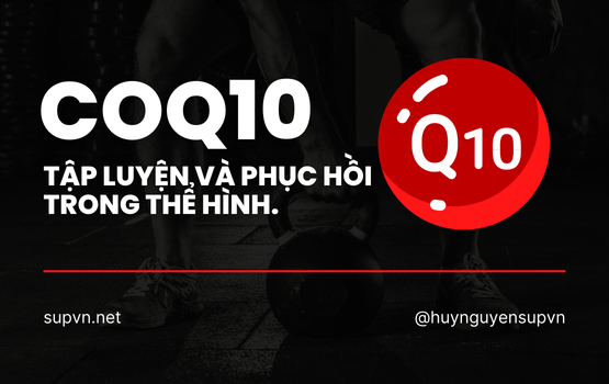 CoQ10 Là Gì? Tác Dụng Đối Với Sức Khỏe, Tập Luyện Và Phục Hồi Trong Thể Hình