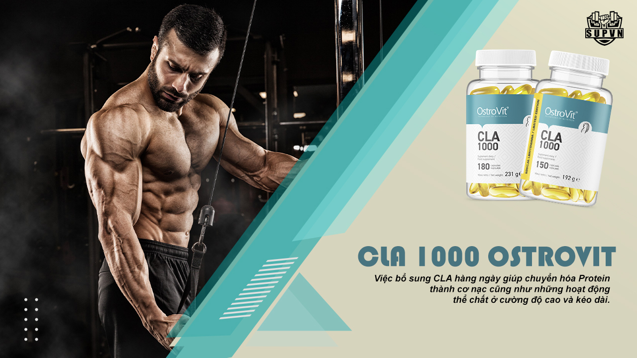 CLA-1000-Ostrovit-180vien-150-vien-dot-mo-hieu-qua-an-toan-chat-beo-tot-SupVn.net