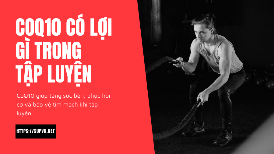 co-che-hoat-dong-cua-coq10-trong-co-the