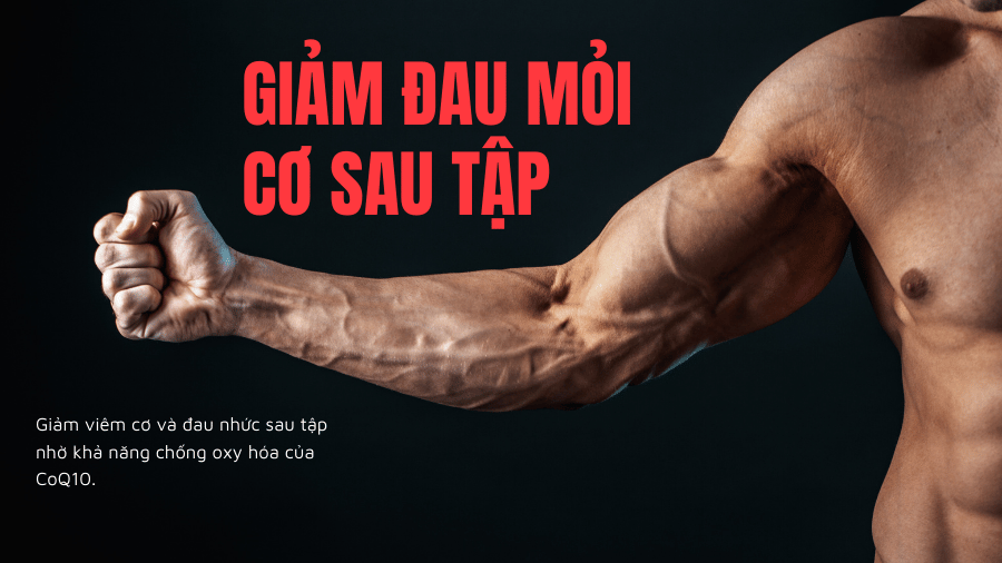 coq10-giam-dau-moi-co-sau-tap