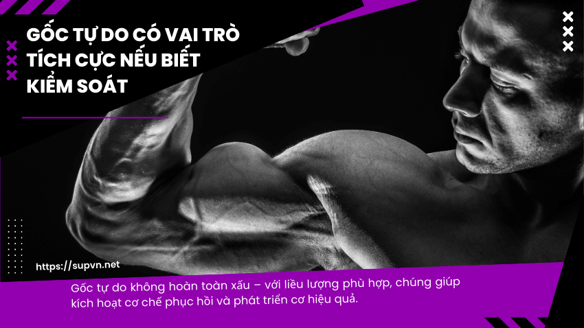 goc-tu-do-loi-hai-neu-biet-kiem-soat