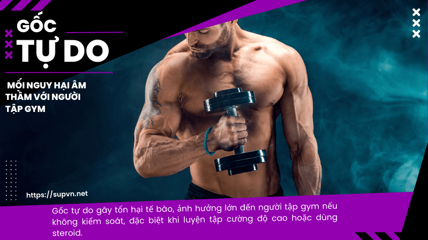 goc-tu-do-va-nguoi-tap-the-hinh