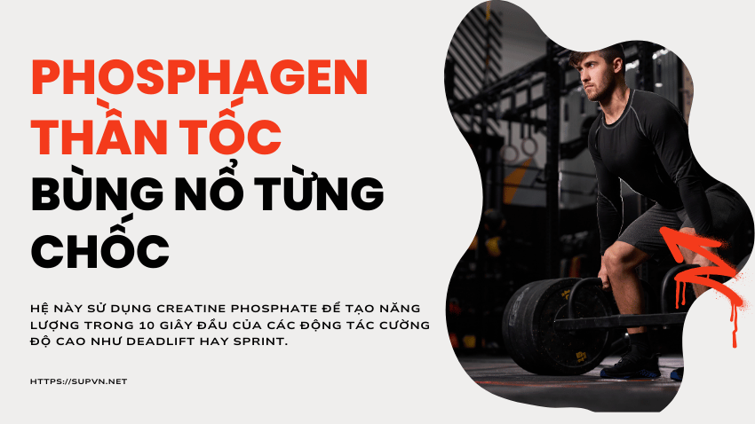 he-atp-pcr-anh-toc-do