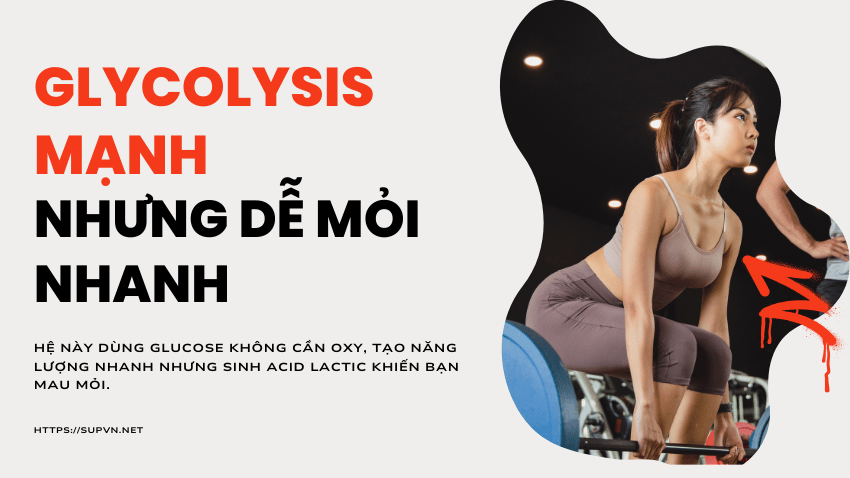 he-glycolysis-anh-lam-lieu