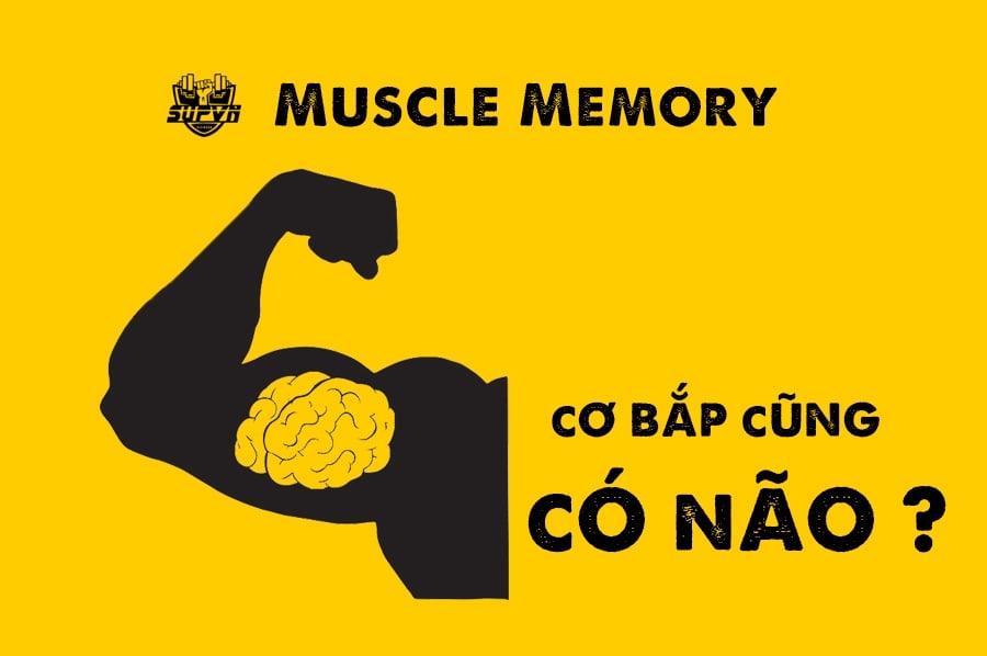 muscle-memory-la-gi