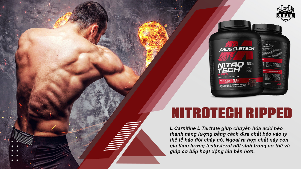 nitrotech-ripped-co-thanh-phan-l-carnitine