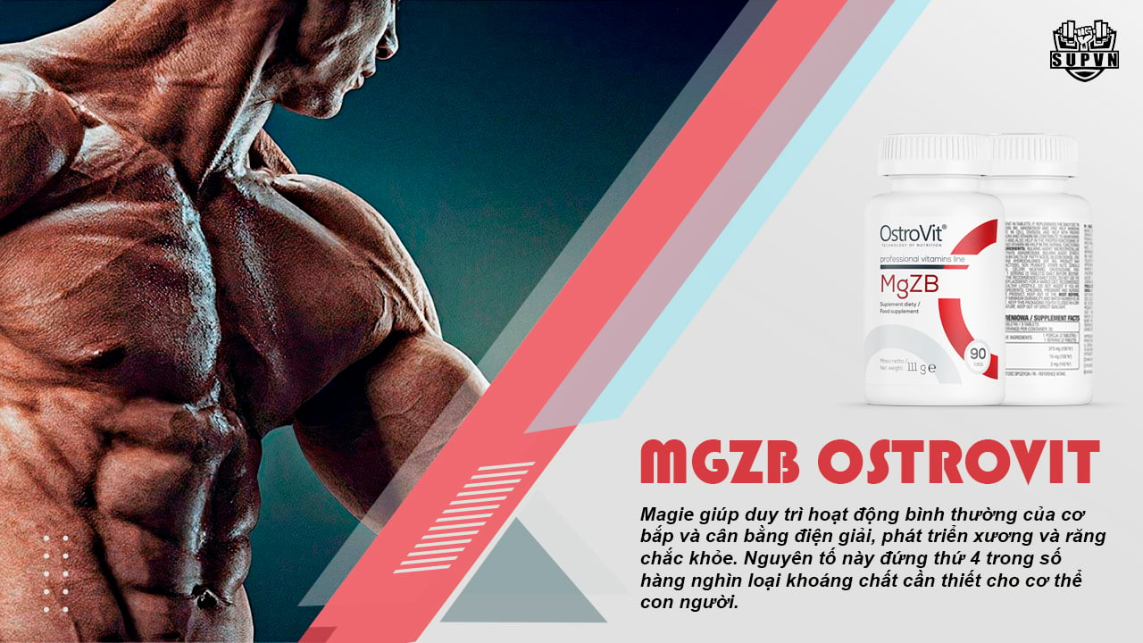 zma ostrovit mgzb tăng cường sức mạnh cơ bắp