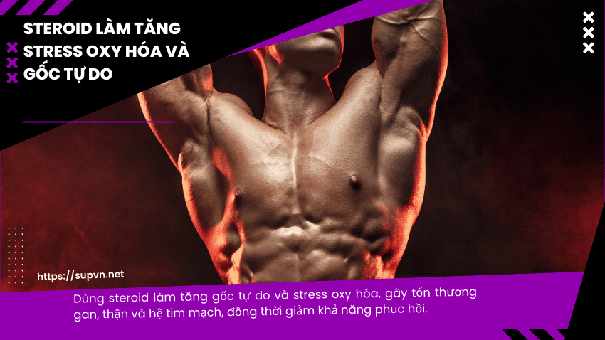 steroid-va-stress-oxy-hoa