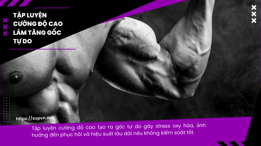 tap-luyen-cuong-do-cao-va-goc-tu-do
