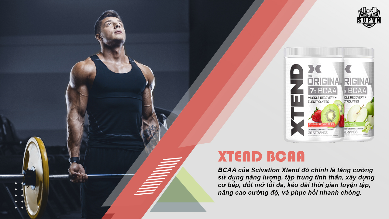 xtend bcaa 30 lần dùng hỗ trợ tránh dị hóa cơ hiệu quả