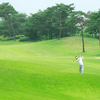 Golf là một môn khoa học, Ball Striking