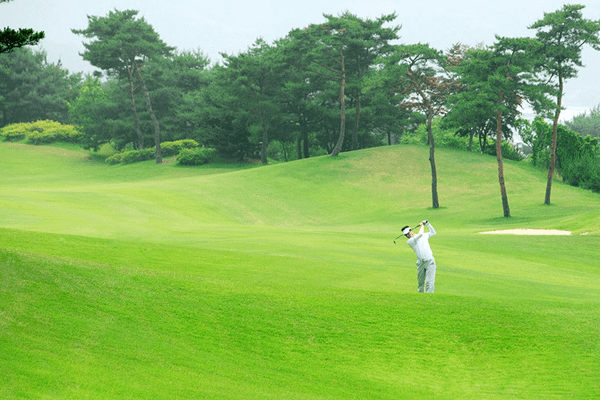 Ball Striking