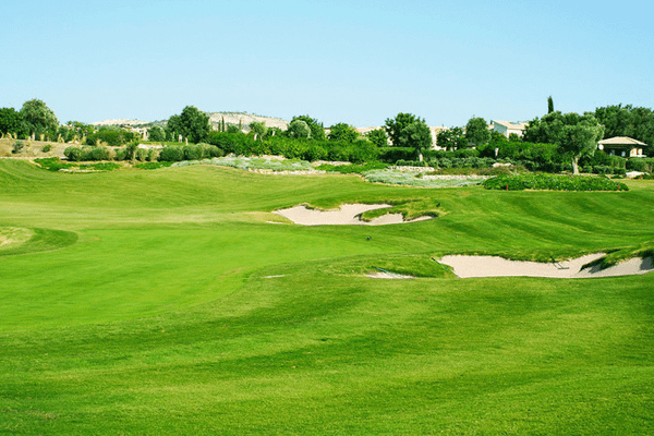 Nghĩ đến toàn bộ lỗ golf