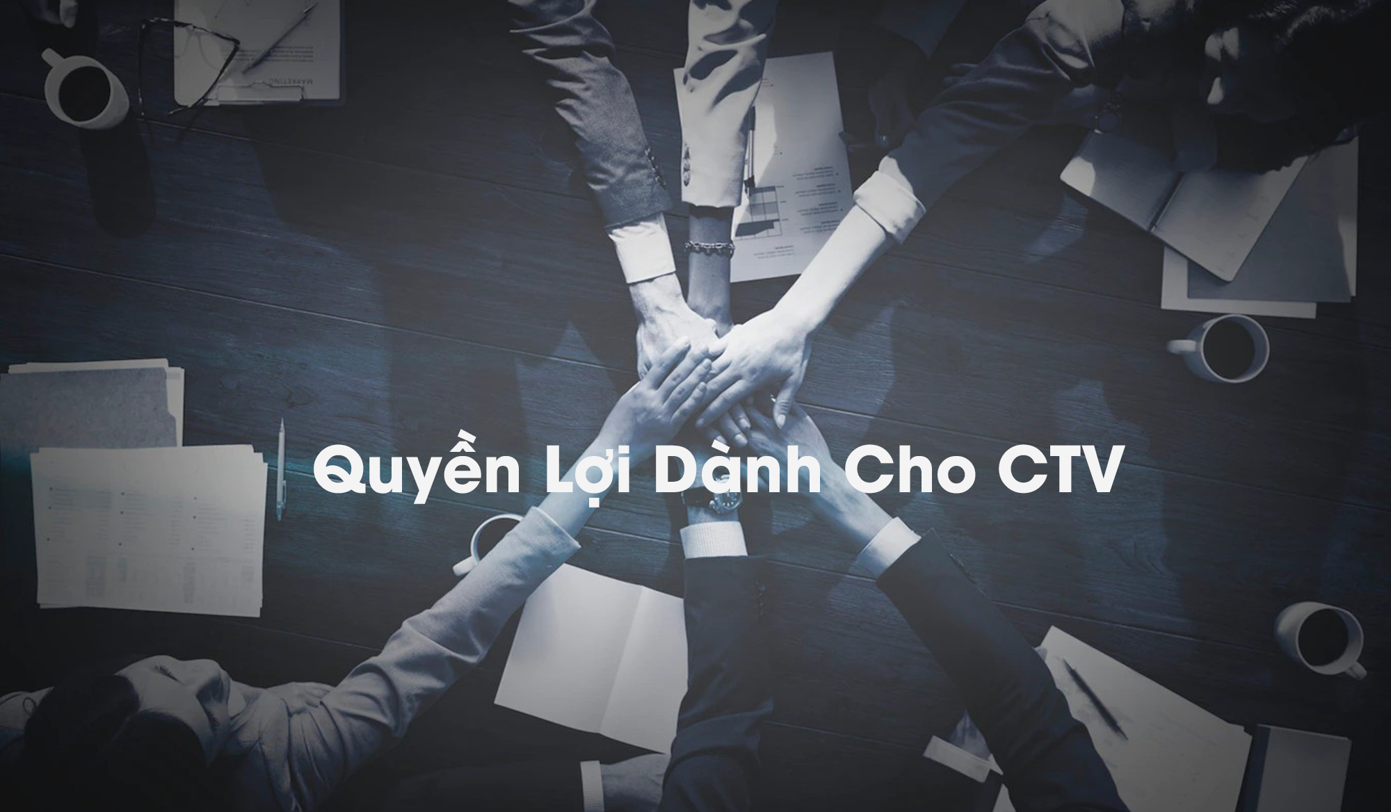 Quyền Lợi Dành Cho CTV