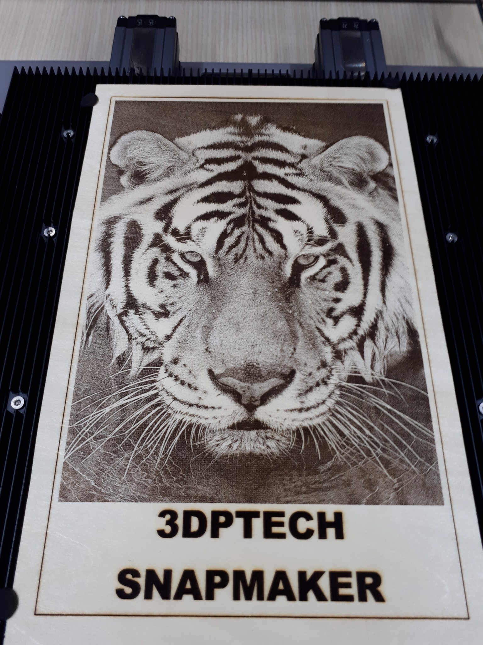 Tranh mãnh hỗ khắc laser - Ai cũng có thể dễ dàng làm được với máy in 3D Snapmaker