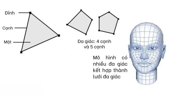 Dựng mô hình 3D - Hướng dẫn chi tiết cho người mới bắt đầu