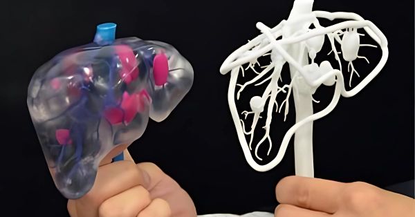 Công nghệ in 3D là gì? Định nghĩa, nguyên lý và ứng dụng