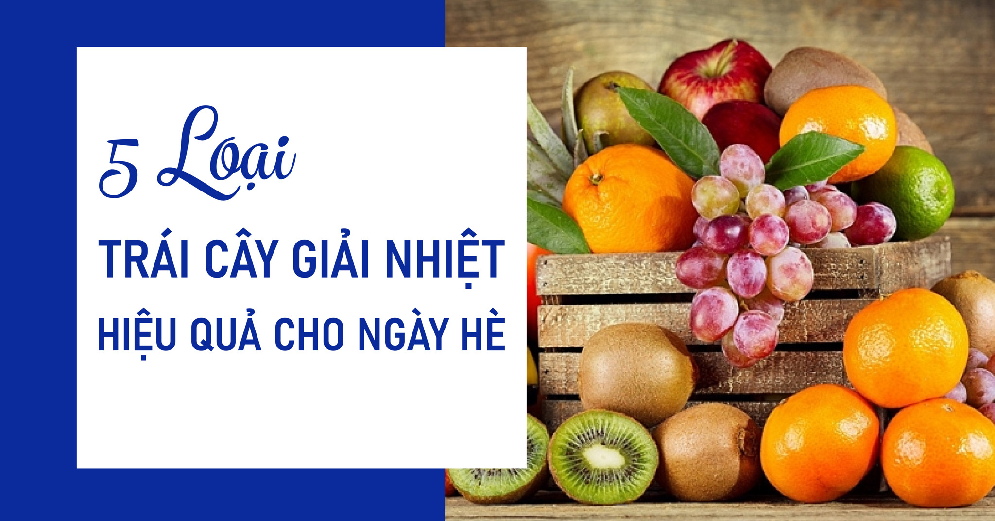 5 LOẠI TRÁI CÂY GIẢI NHIỆT HIỆU QUẢ NGÀY HÈ