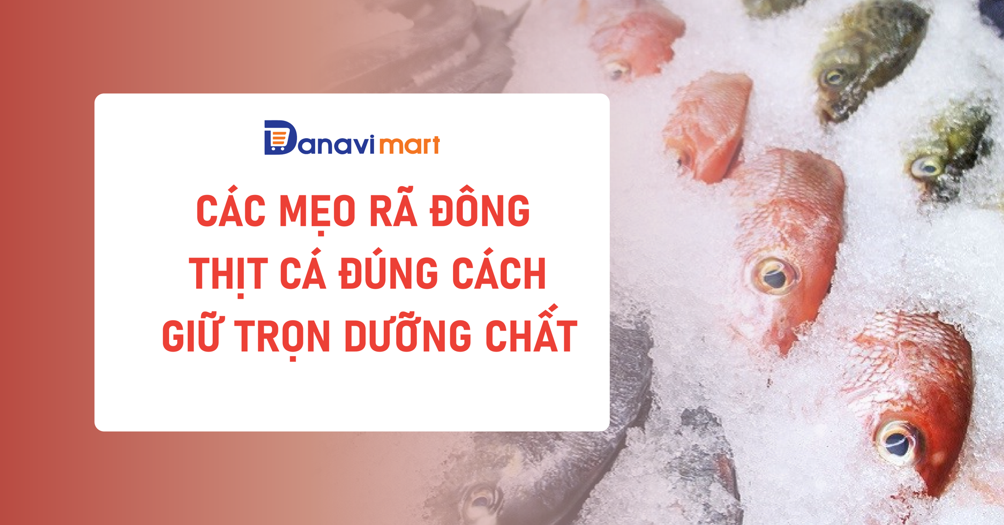 CÁC MẸO RÃ DÔNG THỊT CÁ ĐÚNG CÁCH GIỮ TRỌN DƯỠNG CHẤT