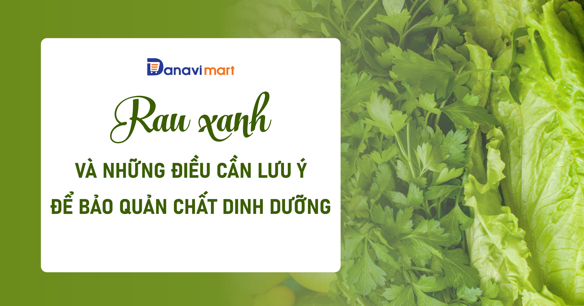 RAU XANH VÀ NHỮNG ĐIỀU CẦN LƯU Ý ĐỂ BẢO QUẢN CHẤT DINH DƯỠNG