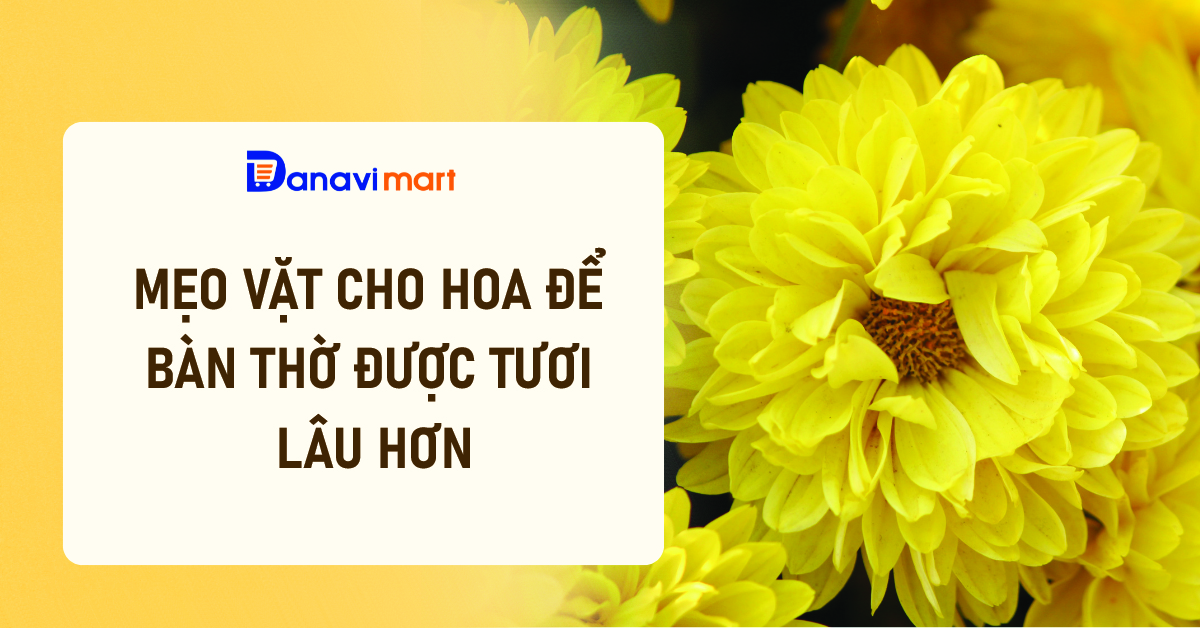 MẸO VẶT CHO HOA ĐỂ BÀN THỜ ĐƯỢC TƯƠI LÂU HƠN