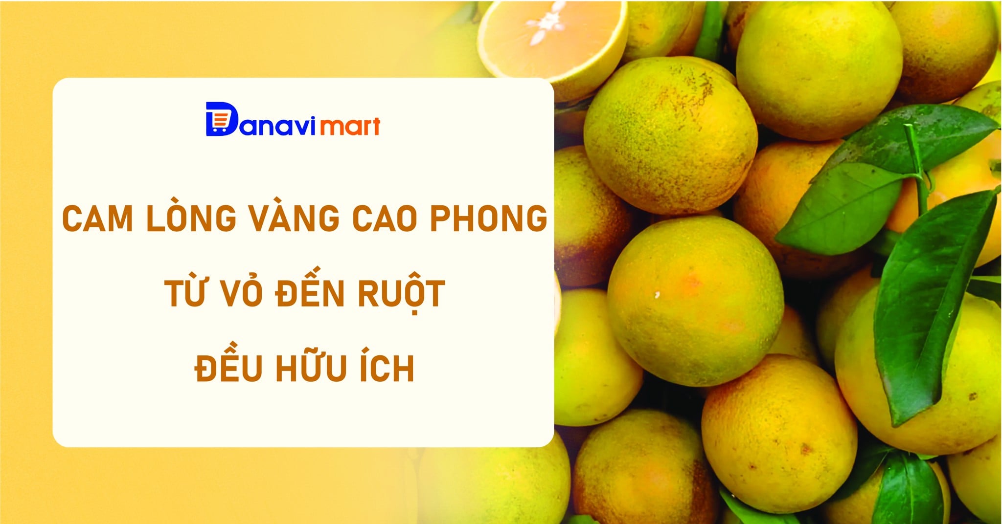 CAM LÒNG VÀNG CAO PHONG - TỪ VỎ ĐẾN RUỘT ĐỀU HỮU ÍCH