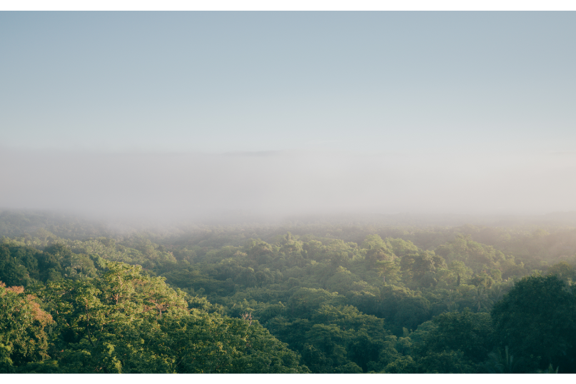 NGHỀ GỐM VÀ MÔI TRƯỜNG