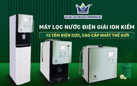 Bộ tứ đẳng cấp - Máy lọc nước điện giải ion kiềm EVERKING 13 tấm điện cực, Cao Cấp Nhất Thế Giới