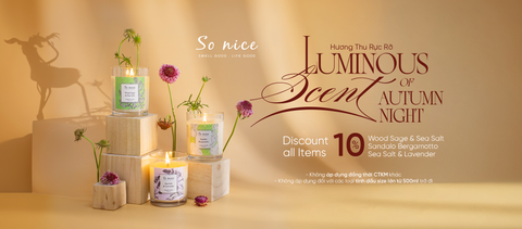 Luminous Scent of Autumn Night – Hương Thu Rực Rỡ từ So nice
