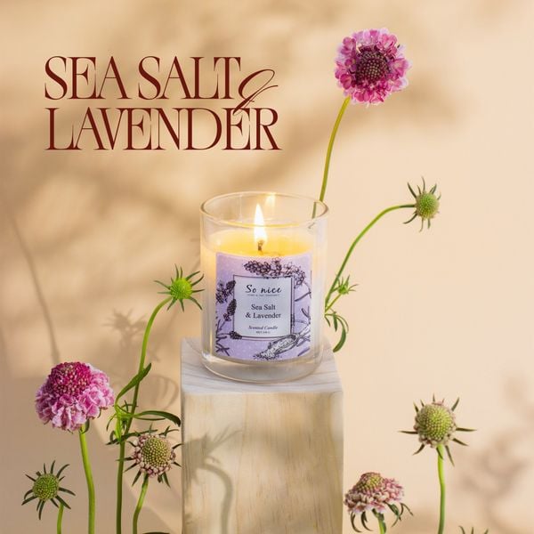 bộ sưu tập hương tháng 7 sonice - sea salt lavender