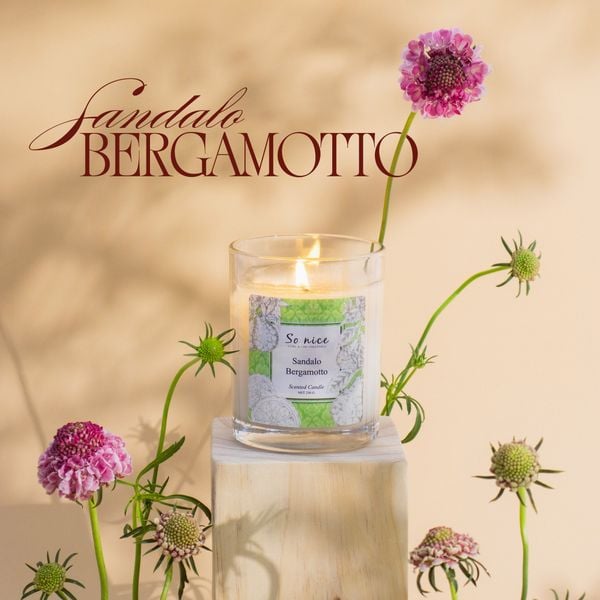 bộ sưu tập hương tháng 7 sonice - sandalo bergamotto