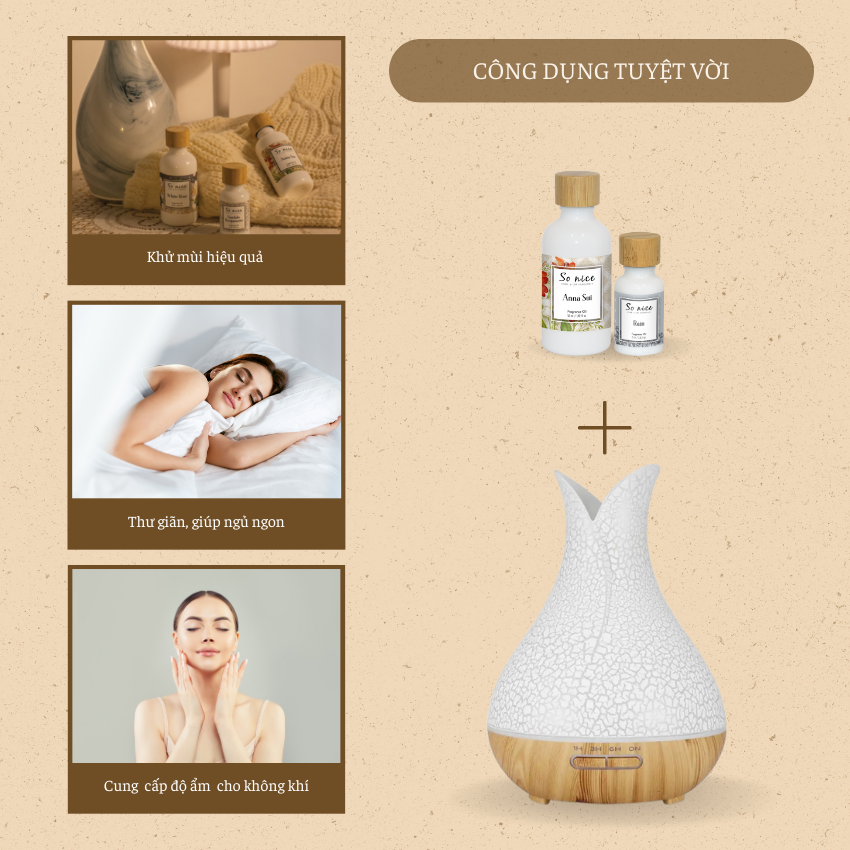 Máy khuếch tán tinh dầu và tạo độ ẩm - Bầu Tiên