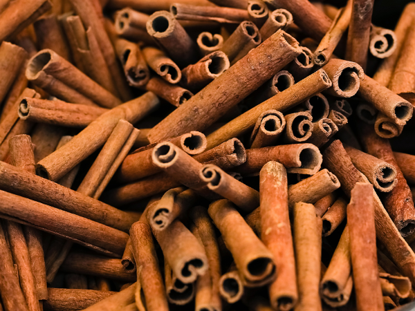Quế (Cinnamon Stick) - Loài cây của sự thịnh vượng phú quý