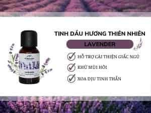 Gợi ý 5 loại tinh dầu thơm phòng ngủ giúp an thần, thư giãn