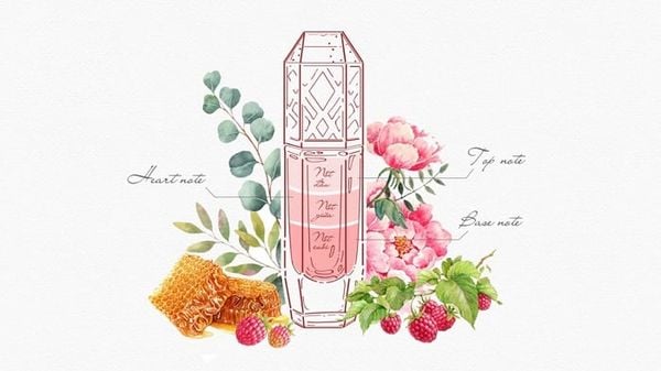 các tầng hương trong nước hoa